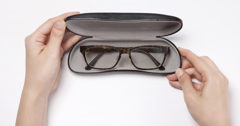 Eyeglasses in Case